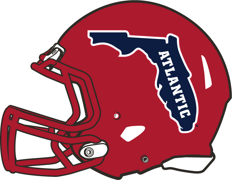 Florida Atlantic Owls 2017-Pres Helmet Logo v3 DIY iron on transfer (heat transfer)